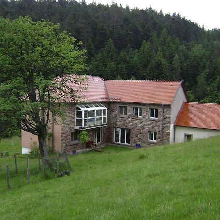 Gite Hansel De La Ferme Du Schneeberg Wangenbourg-Engenthal Exteriör bild