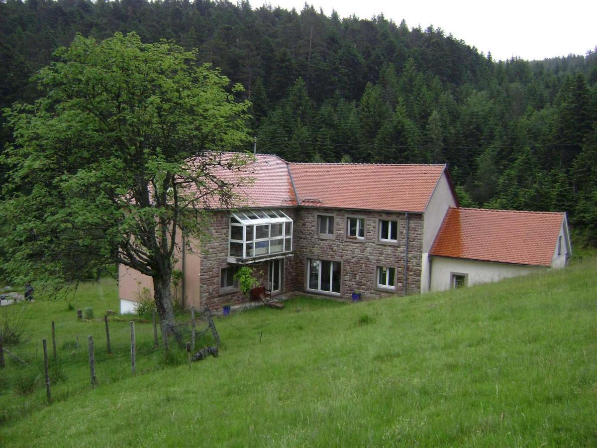 Gite Hansel De La Ferme Du Schneeberg Wangenbourg-Engenthal Exteriör bild