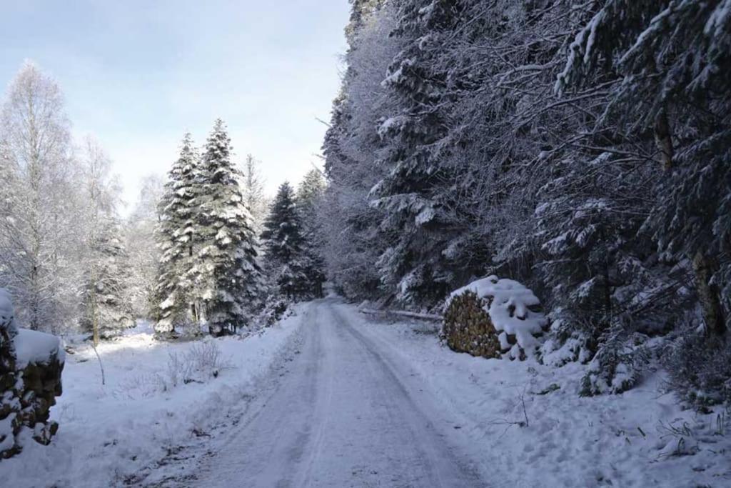 Gite Hansel De La Ferme Du Schneeberg Wangenbourg-Engenthal Exteriör bild
