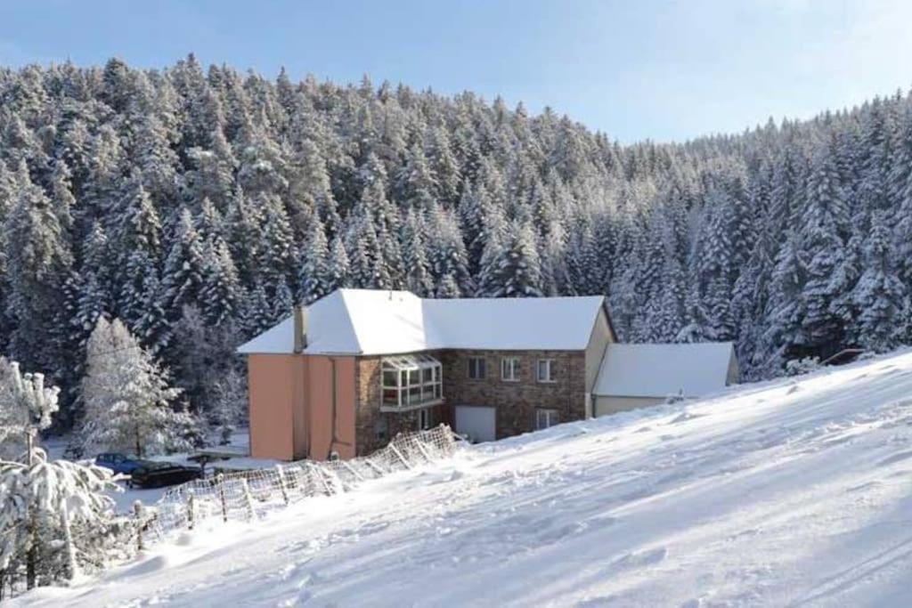 Gite Hansel De La Ferme Du Schneeberg Wangenbourg-Engenthal Exteriör bild